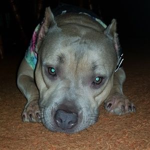 Meet your Posher, Raquel